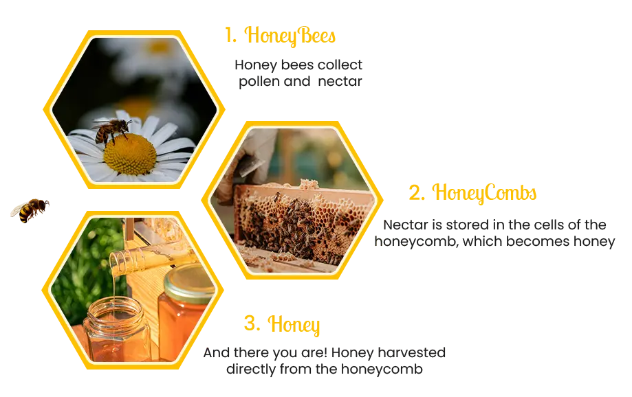 honey image